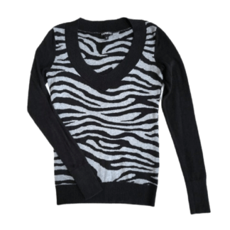 Express Sweater (Size XS)