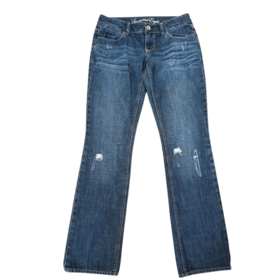 American Eagle Jeans (Size 6) • BrynnZilla