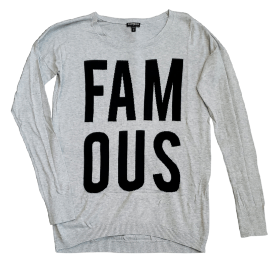 Express Famous Sweater (Size M)
